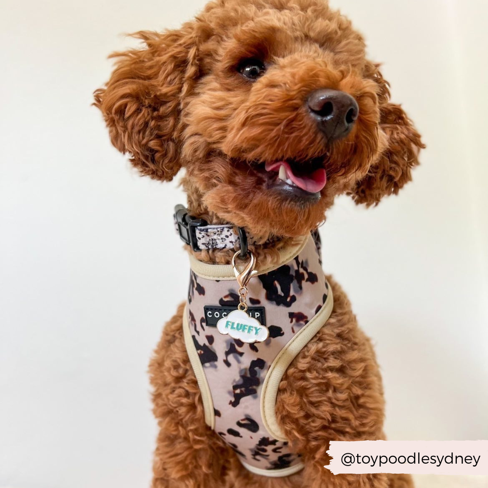 Dog Collar Charm - Fluffy