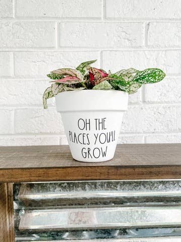 Oh The Places You'll Grow Plant Pot