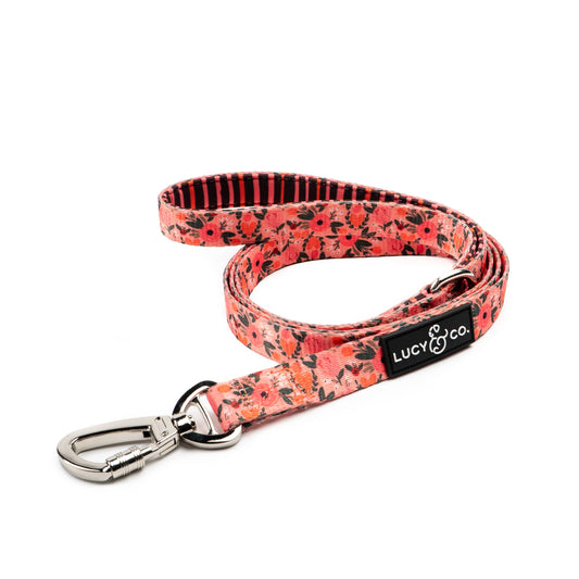 Lucy & Co. - Posy Pink Matching Leash