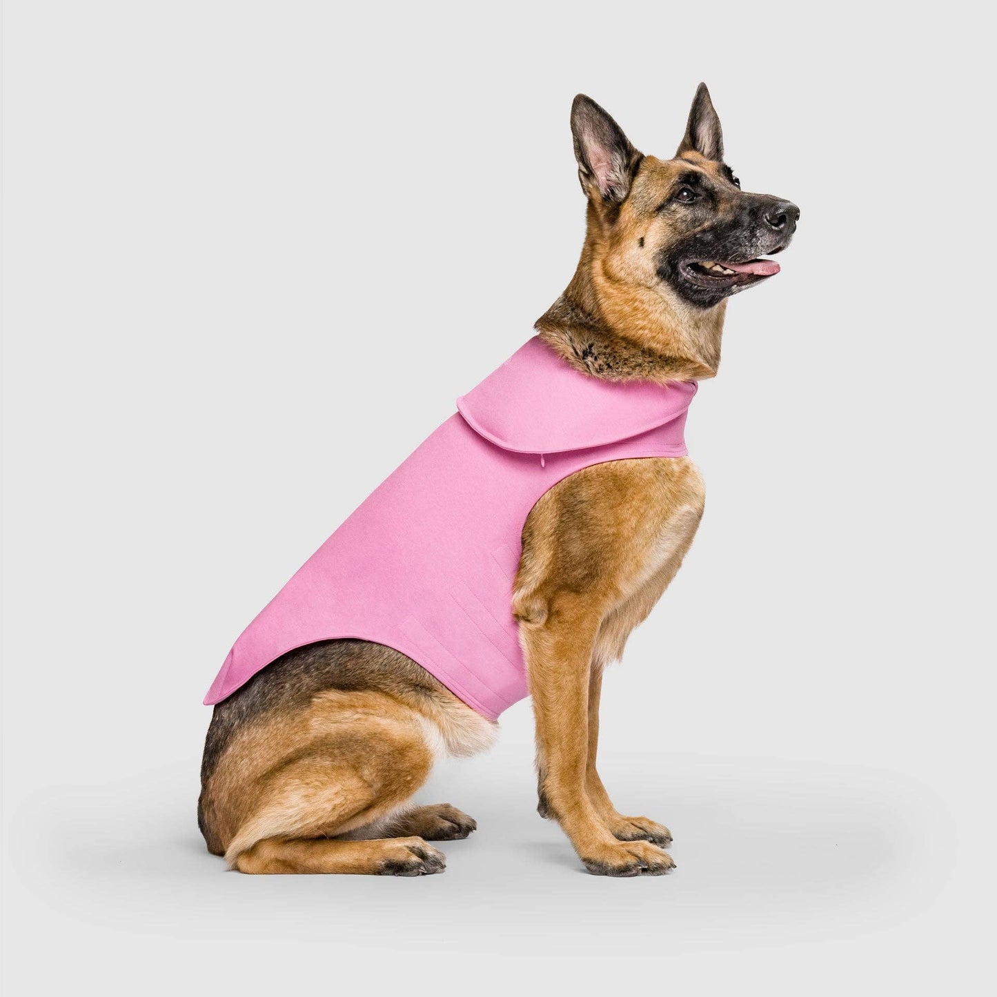 Weighted Calming Dog Vest