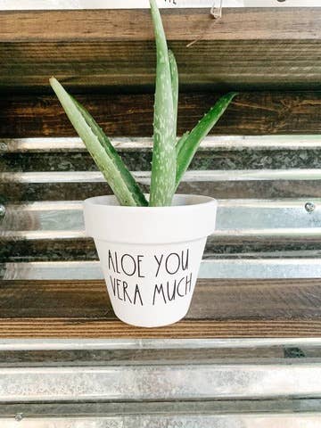Aloe You Vera Much Plant Pot