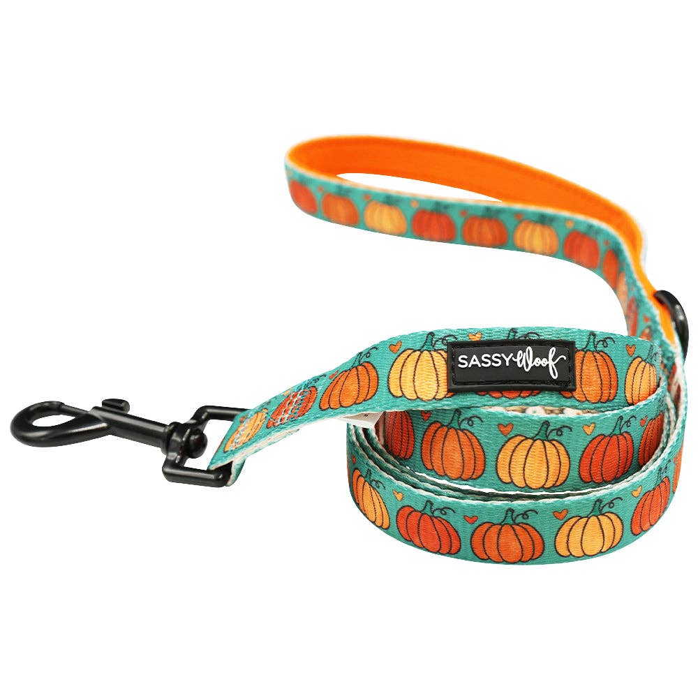 Fall Dog Leash - Pie There!