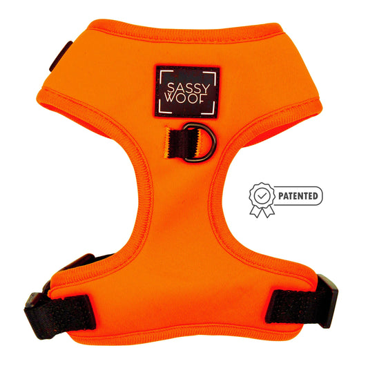 Dog Adjustable Harness - Neon Orange: S