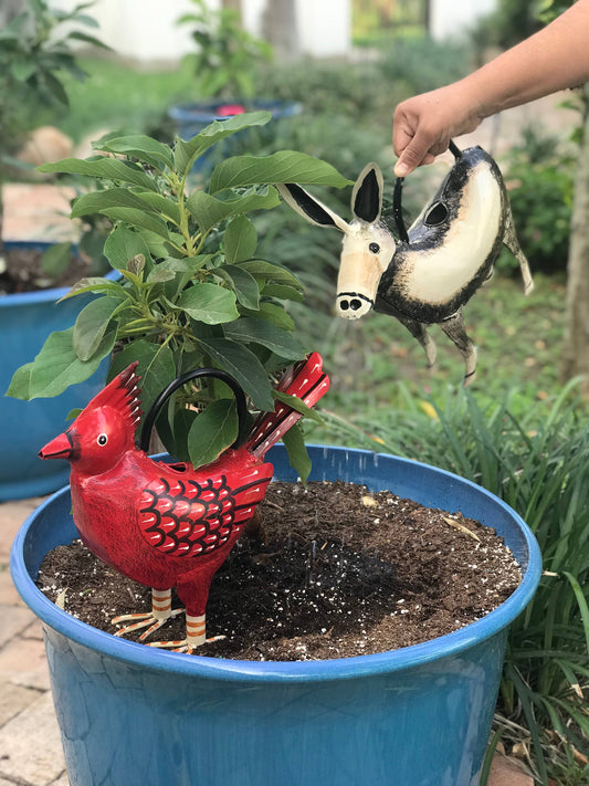 Diego The Donkey Plant Pals Water Can